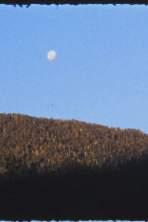 El Manso
