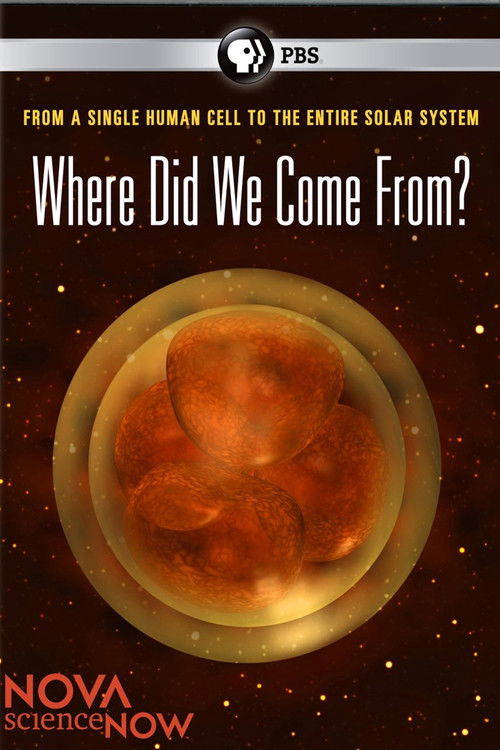 Where Did We Come From?