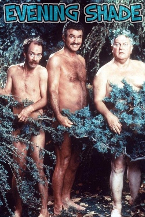 Вечерняя тень