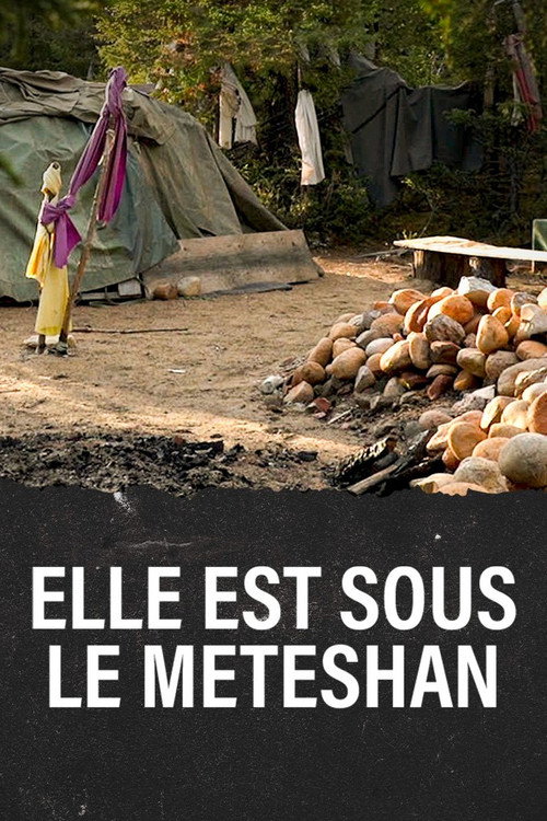 Meteshu innushkueu