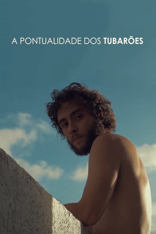 A Pontualidade dos Tubarões
