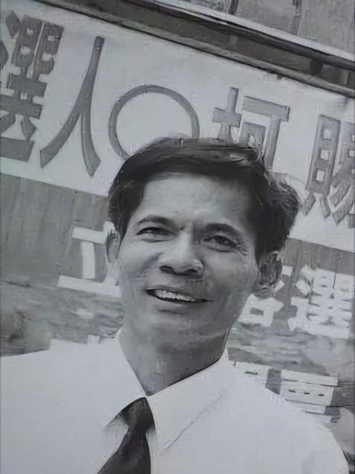 多格威斯麵