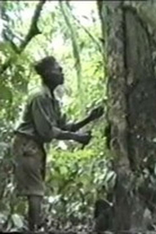 El Nganga y los Árboles