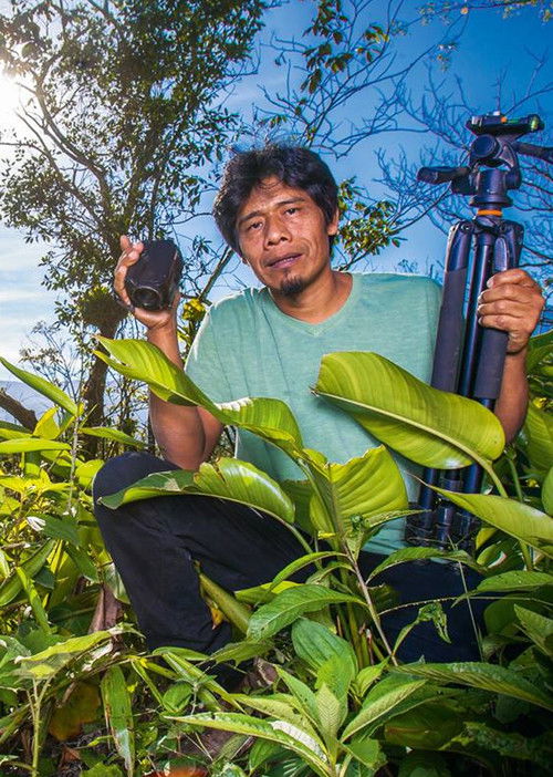 Manoá - A lenda das queixadas