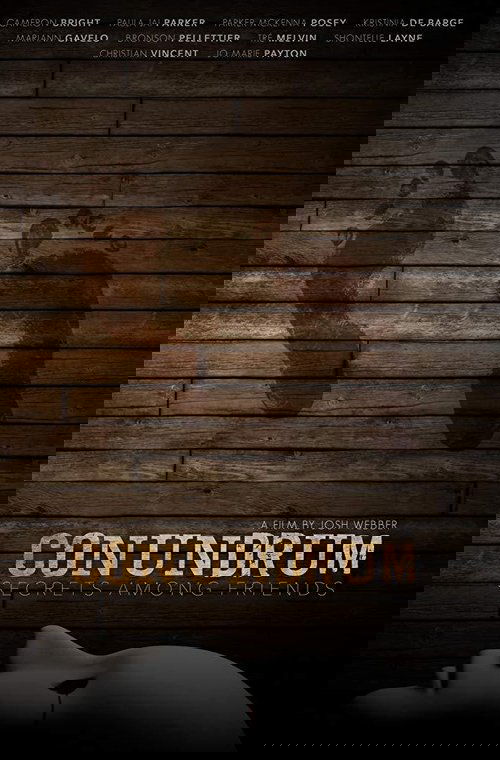 Conundrum: Secrets Among Friends