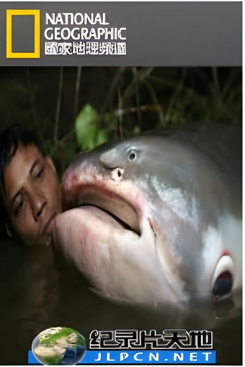 国家地理 寻找亚马逊大鱼