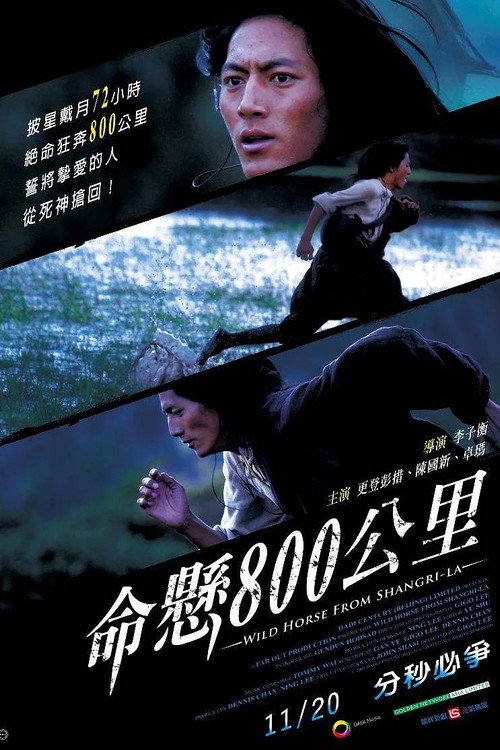 命悬800公里