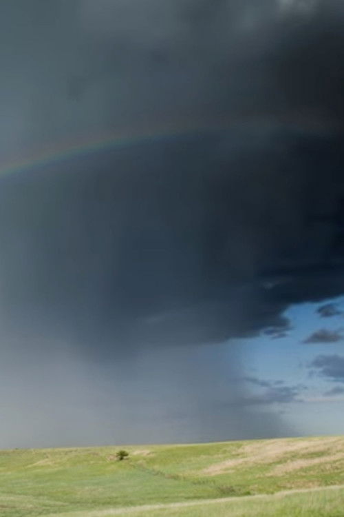 Береги свой дом (Пойми правильно)