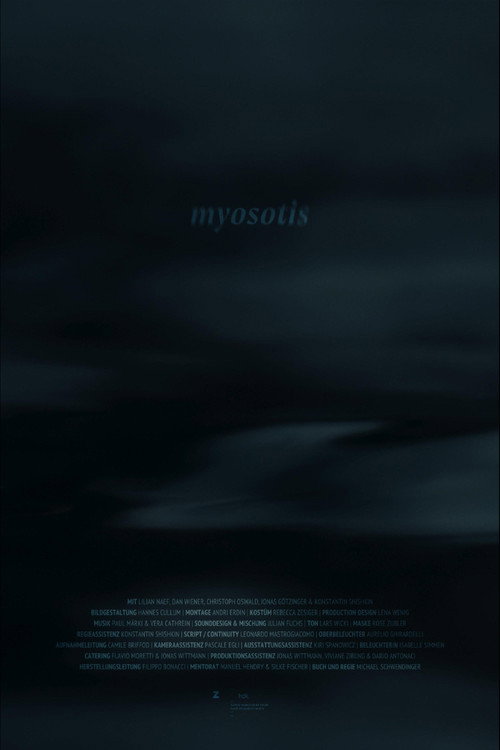 Myosotis
