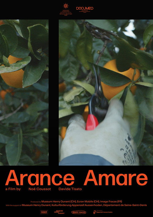Arance Amare