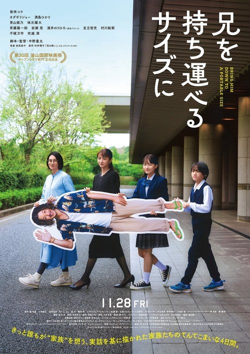 兄を持ち運べるサイズに