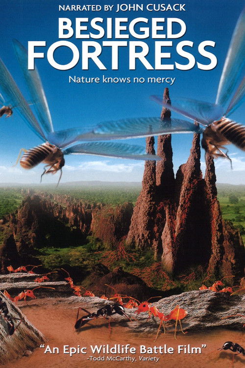 Осажденная крепость