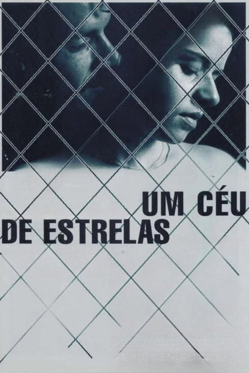 Um Céu de Estrelas