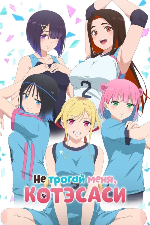 Не трогай меня, Котэсаши