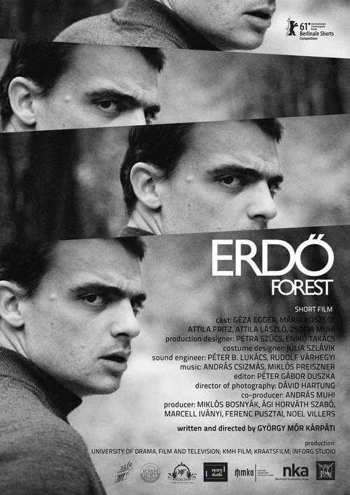 Erdő