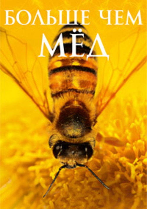 Больше, чем мёд