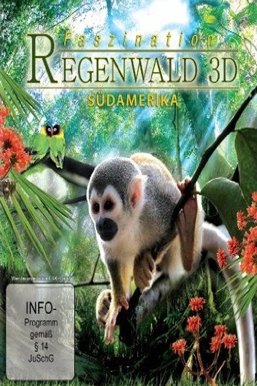 Тропический лес 3D
