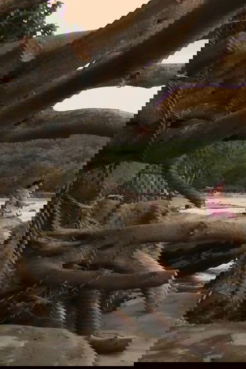 Ang pagalarawan ng kulay pula sa isang bulag