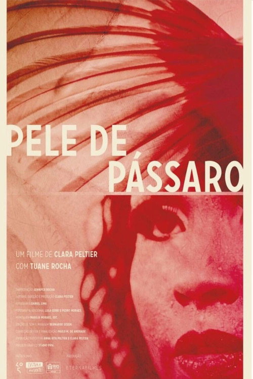 Pele de Pássaro