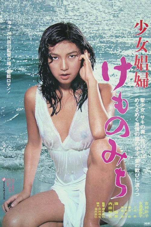 少女娼婦 けものみち