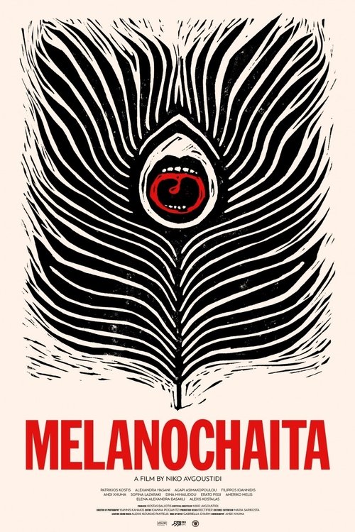 Melanochaita