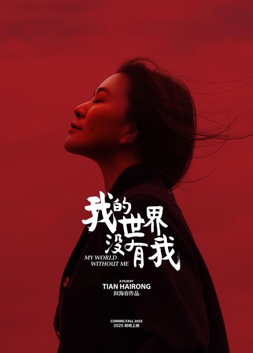 我的世界没有我