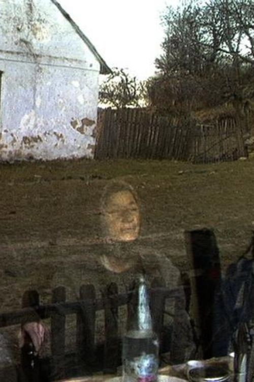 Линденфельд 1994