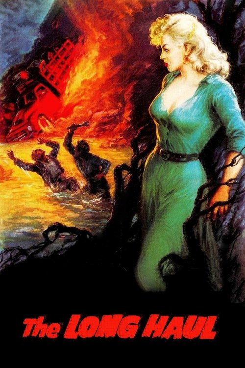 Долгий рейс