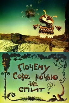 Почему Сова ночью не спит?