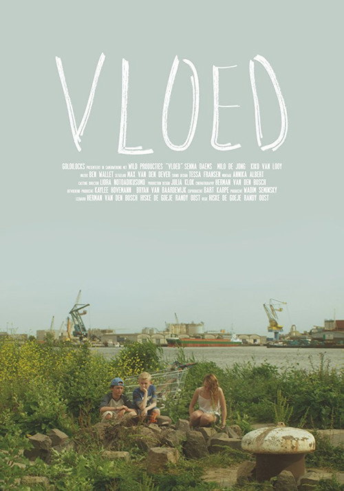 Vloed