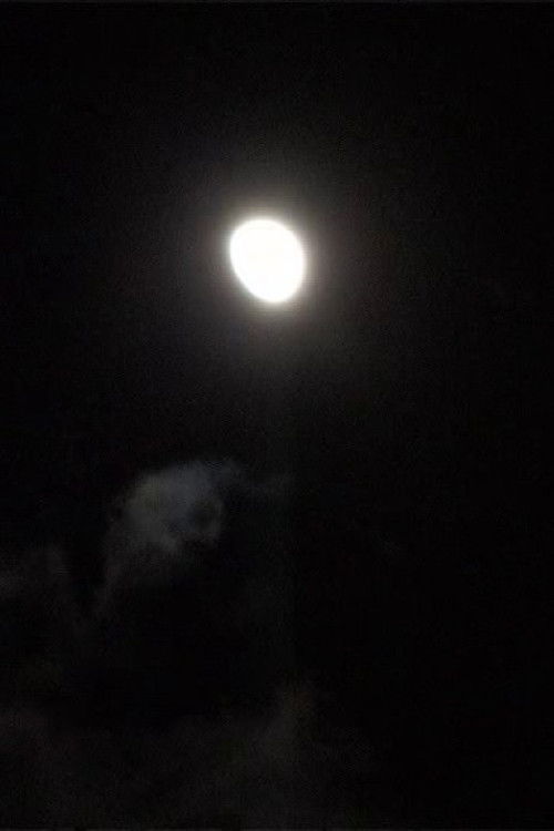 Spectrum C > Lock (Spectrum #4)