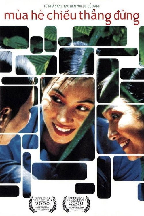 Mùa hè chiều thẳng đứng