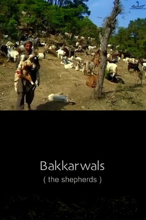 BAKKARWALS