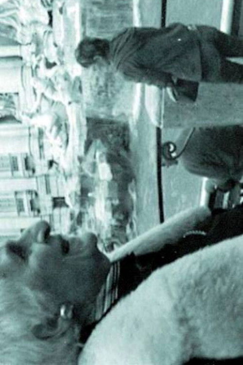 ПРЕВОДАЧКАТА НА ЧЕРНО-БЕЛИ ФИЛМИ