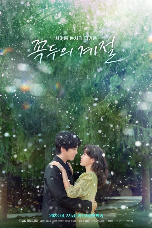 Кокду: Сезон божества