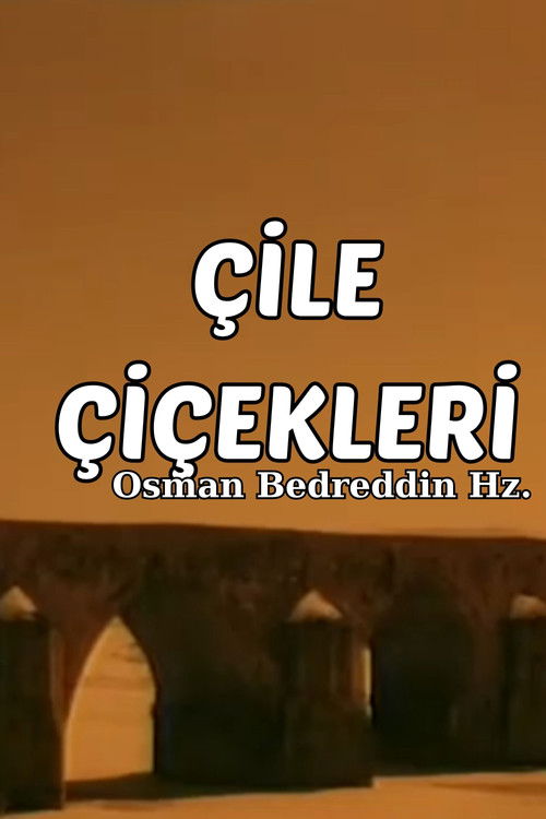 Osman Bedreddin Hazretleri - Çile Çiçekleri