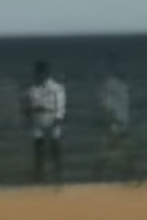 These Are Not My Images (neither there nor here)