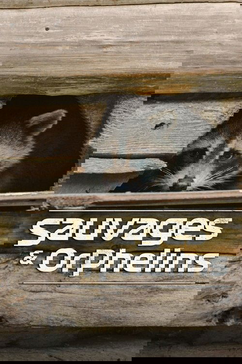 Sauvages et orphelins