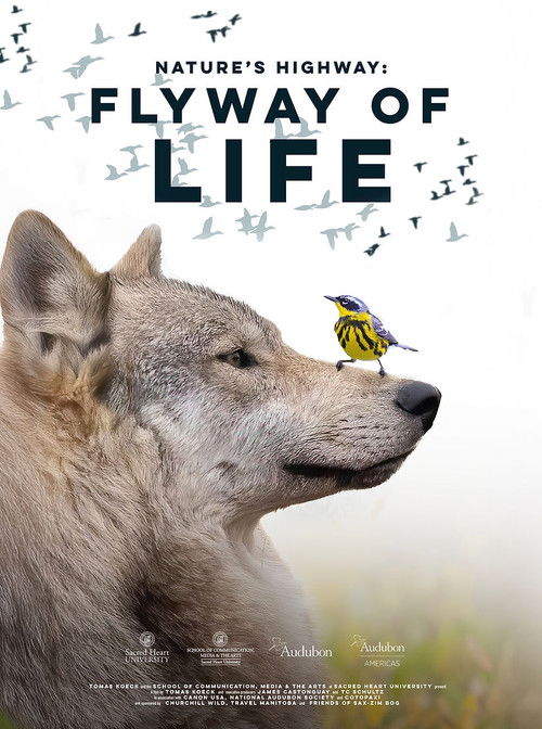 Flyway of Life
