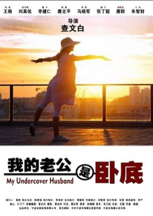 我的老公是卧底