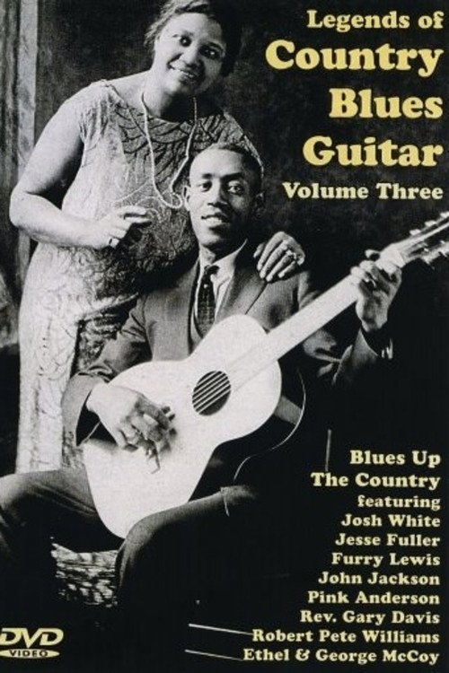 Legends of Country Blues Guitar: Vol. 3