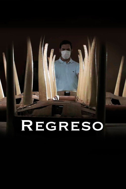 Regreso