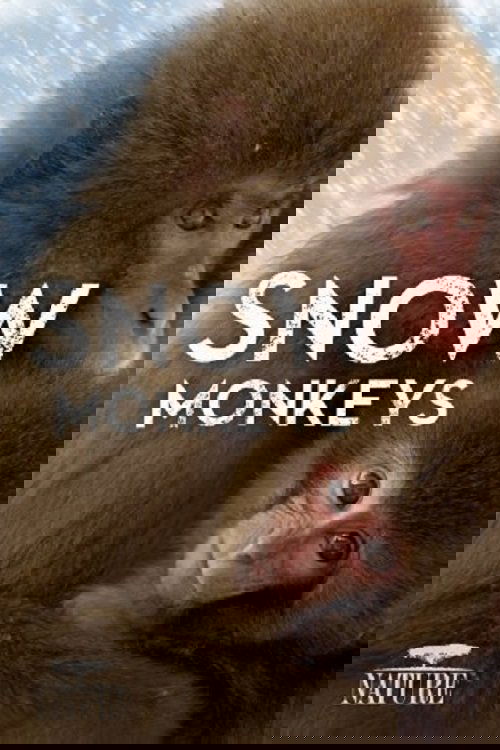 Снежные обезьяны