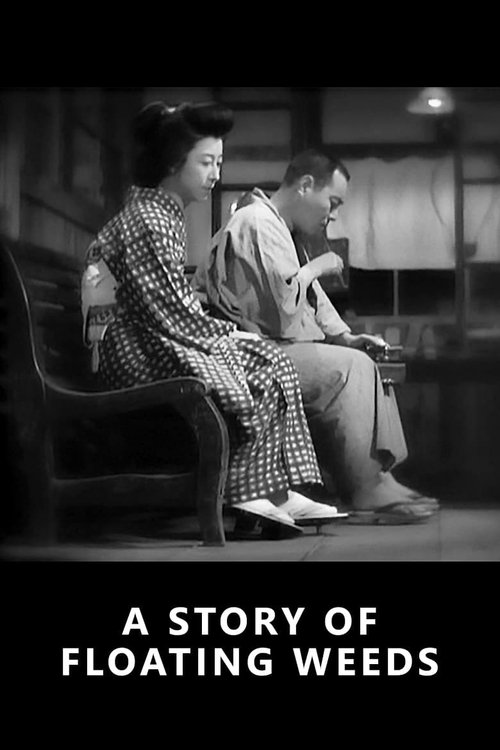 История о плывущих водорослях