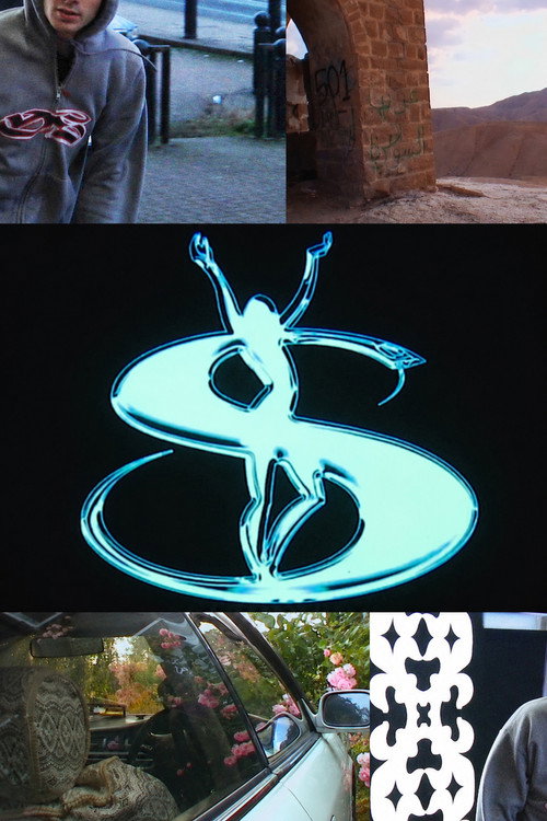 YS 3