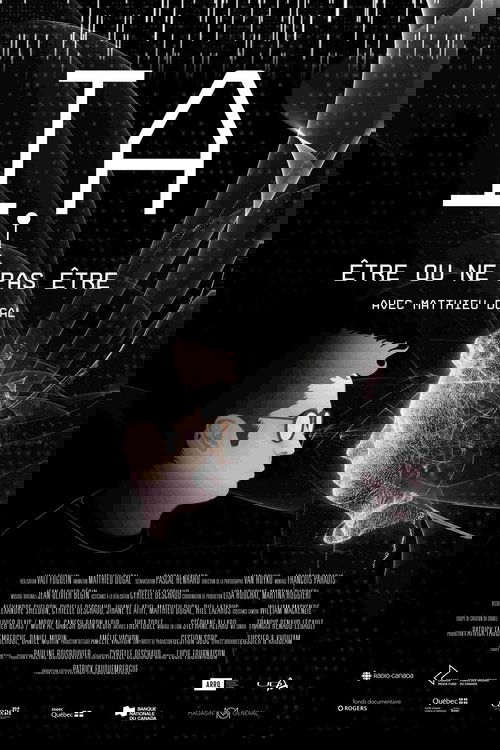 IA : être ou ne pas être