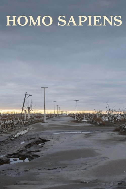 Человек разумный