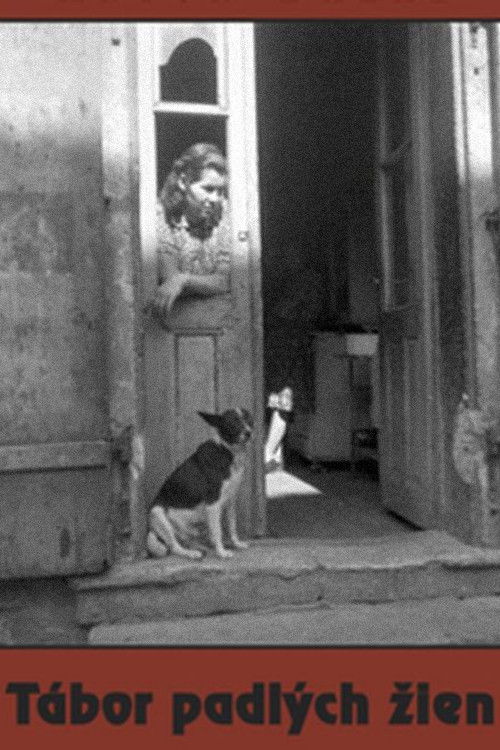 Лагерь падших женщин