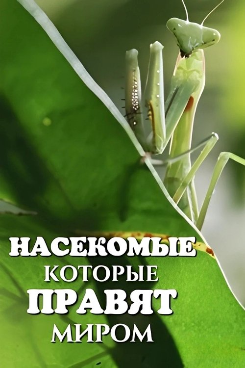 Bugs That Rule the World