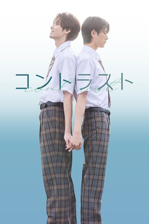 コントラスト